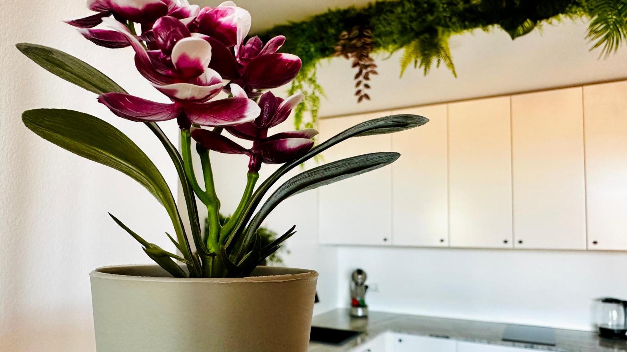 Garden Of Eden Modern Apartments - Apartello,Com Sveti Vlas Eksteriør billede